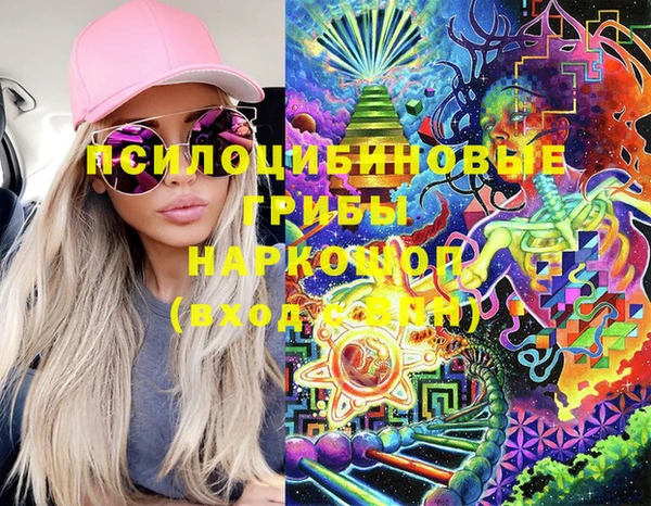 амф Верея