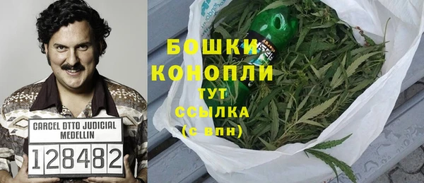 амф Верея