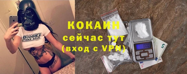 амф Верея