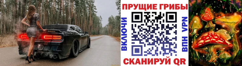 Псилоцибиновые грибы Psilocybine cubensis  что такое   Исилькуль 