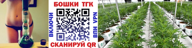 Конопля индика  Исилькуль 